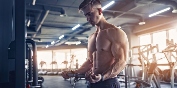 muscular bodybuilder man in the gym